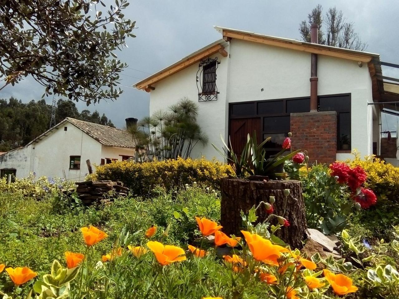 Cabañas&Glamping ILLARI Boutique Paipa Exterior foto